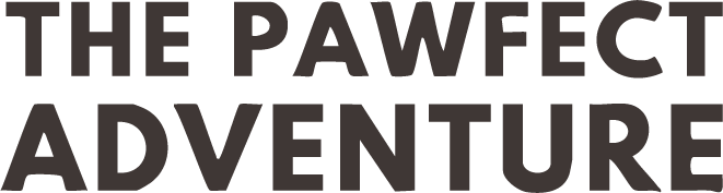 Brands I’ve worked with, trusted clients who chose our branding, photography, and video services