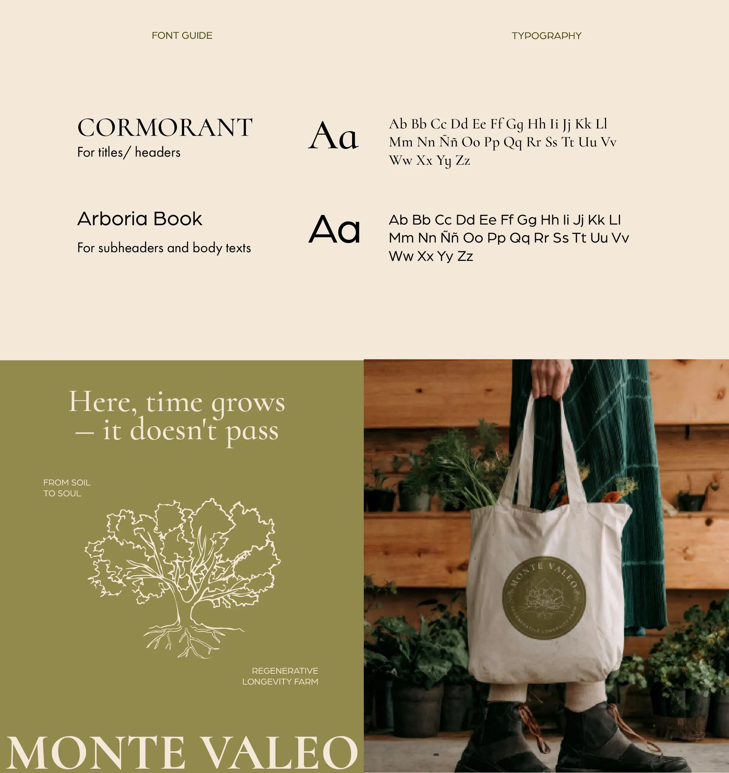 monte valeo brand identity