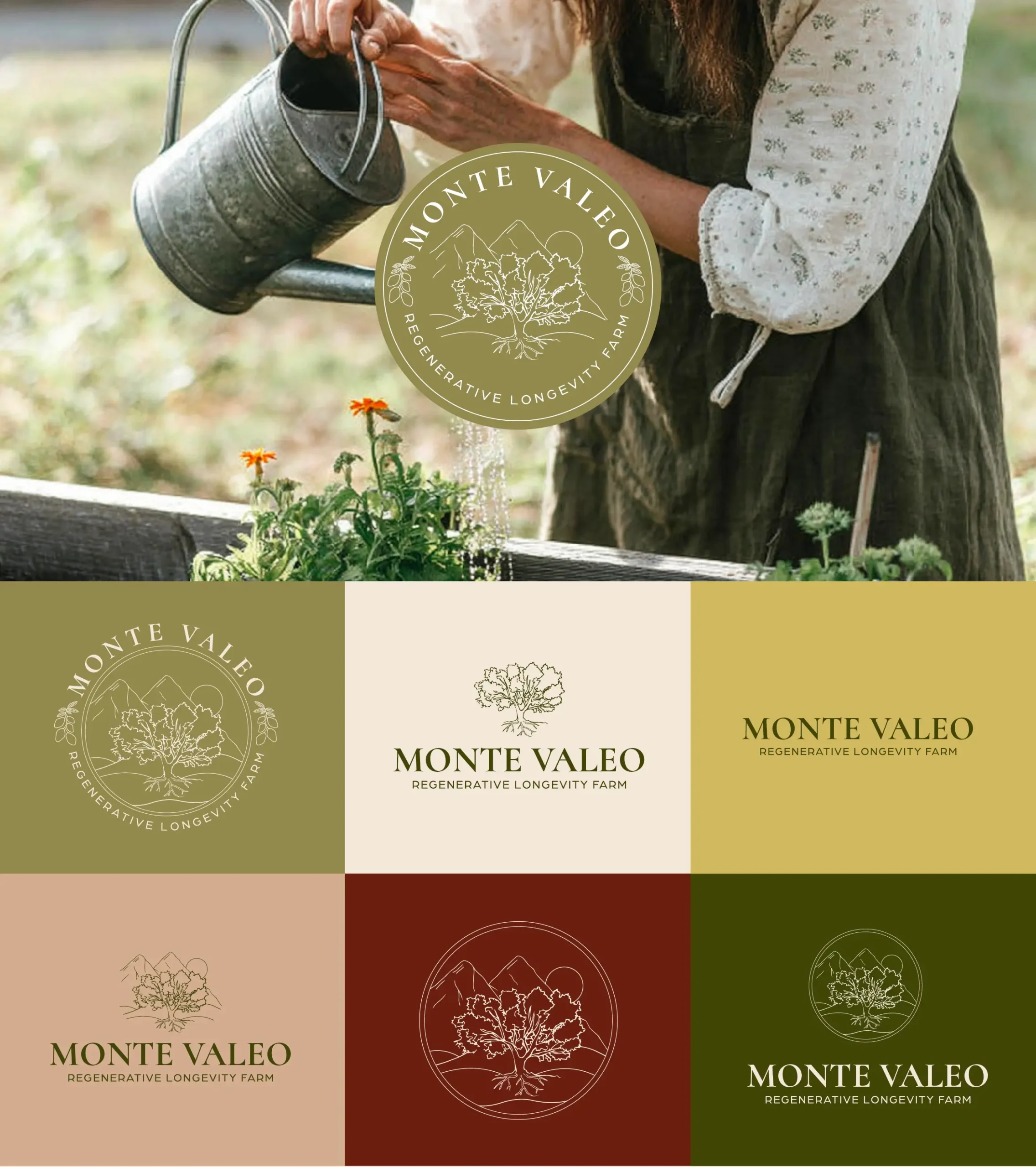 monte valeo brand identity
