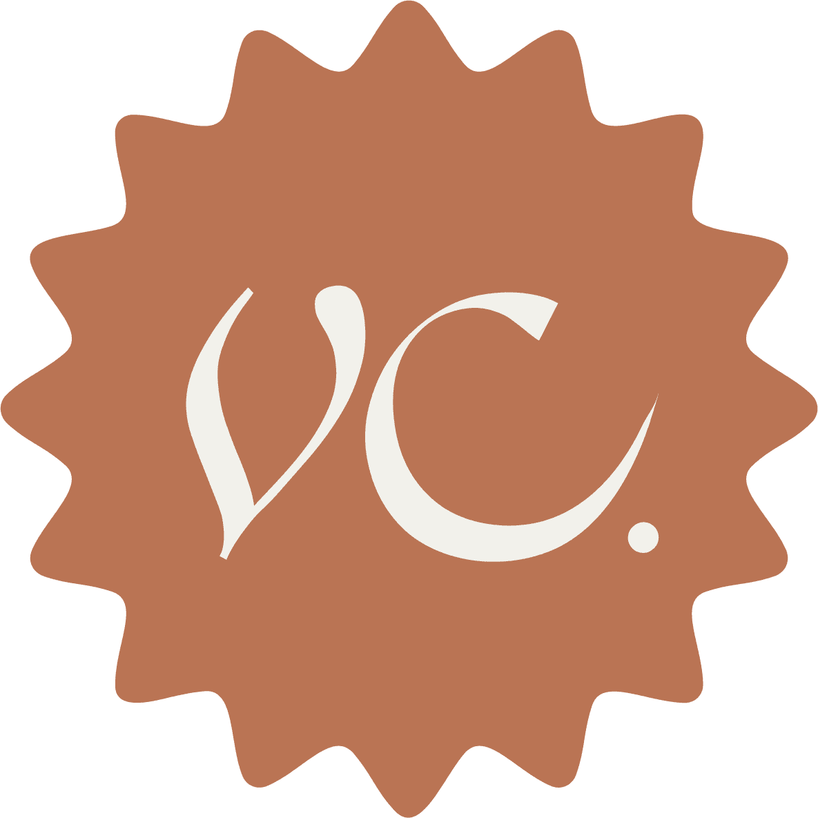 Elegant monogram logo for creative entrepreneur in Spain vivid creations branding webdesign photography