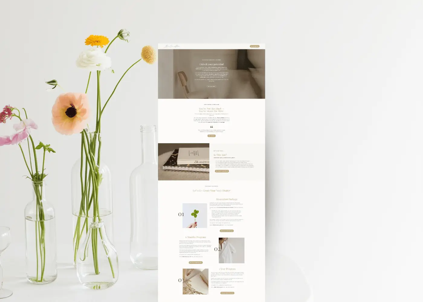 wordpress websites malaga_1 website design marbella malaga