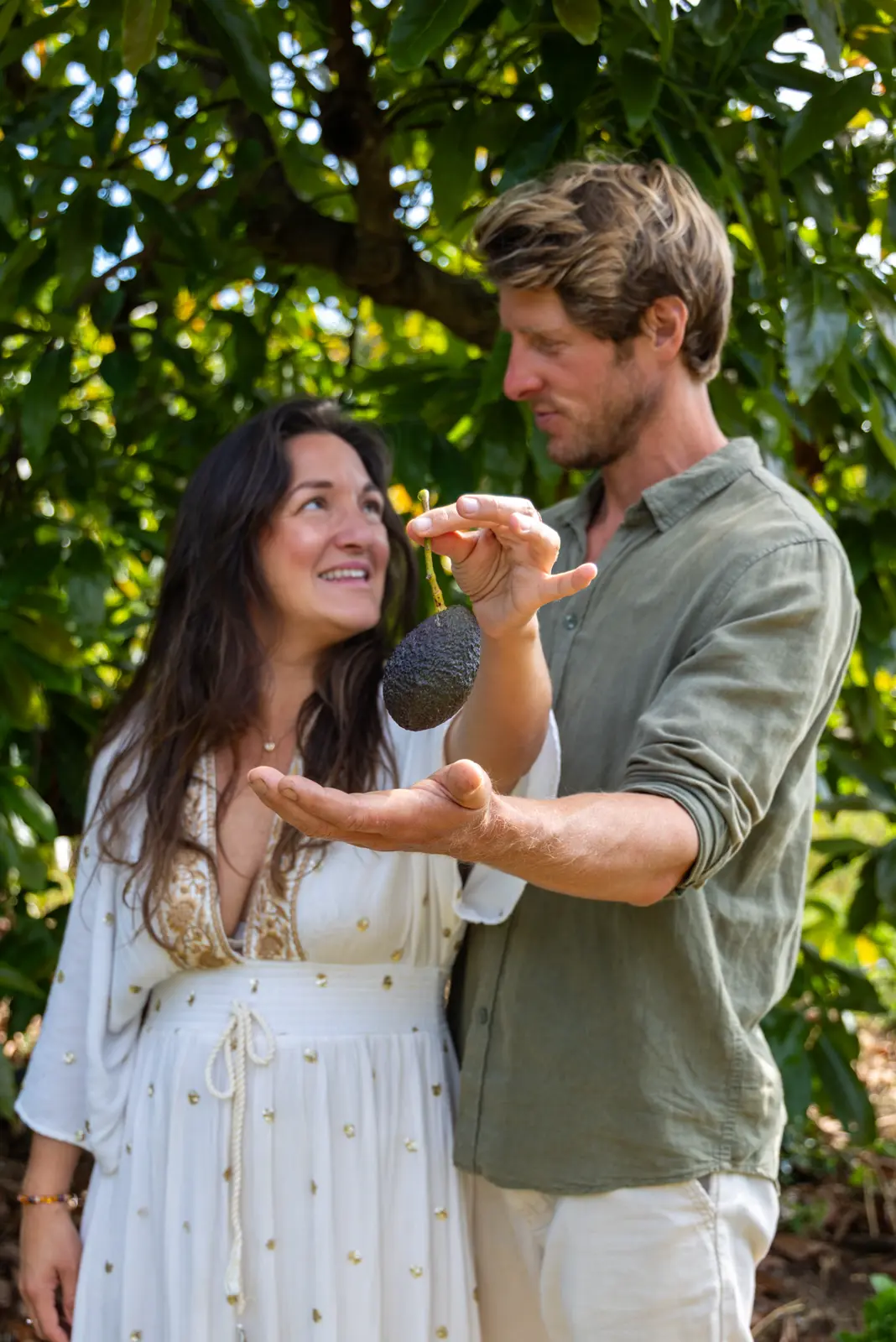 Holding a fresh avocado from the farm