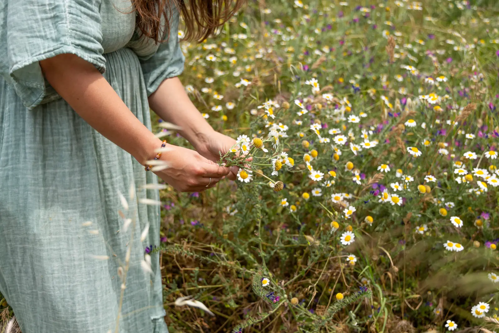 Picking wildflowers on the farm